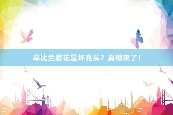 皋比兰着花是坏兆头？真相来了！