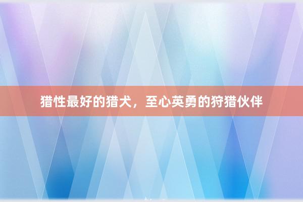 猎性最好的猎犬，至心英勇的狩猎伙伴